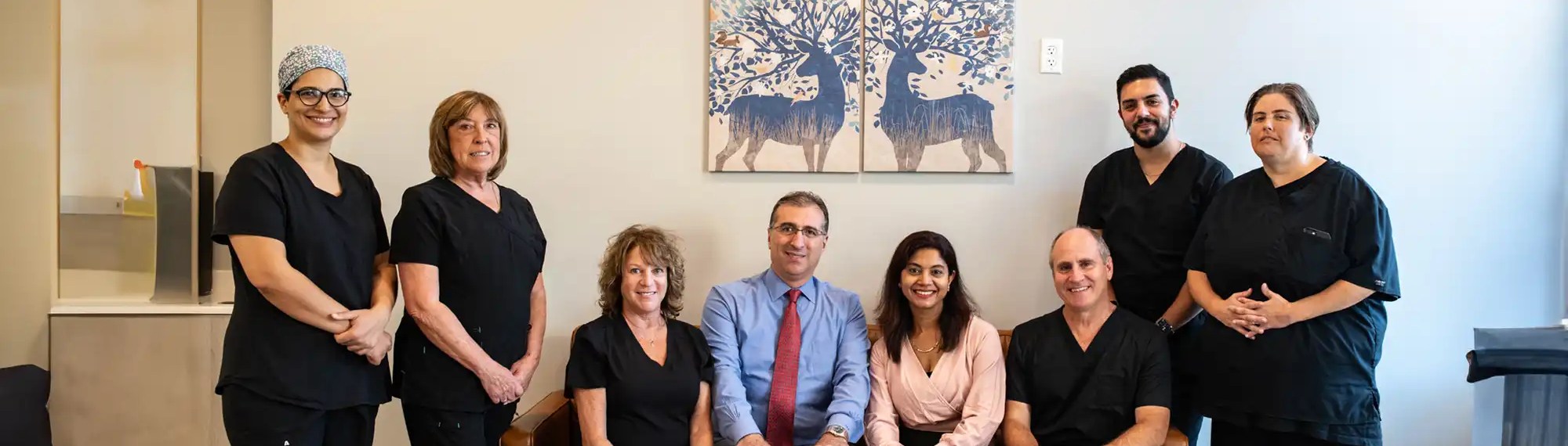 Whole Dental Team